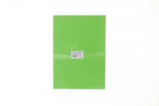 Brystol A3 jasnozielony 160g 20k Protos