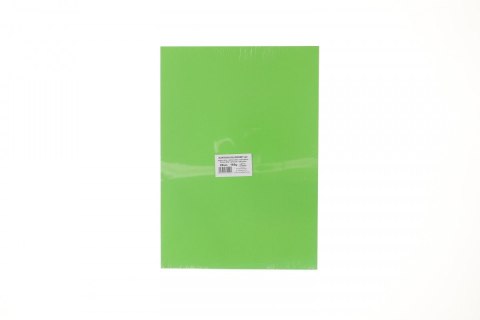 Brystol A3 jasnozielony 160g 20k Protos