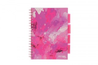 Kołozeszyt (kołonotatnik) B5 PROJECT BOOK FUSION 100k. 80g krata Strigo (PADS004)