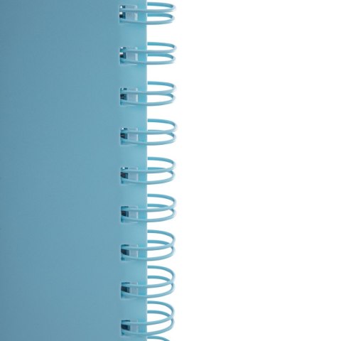 Kołozeszyt (kołonotatnik) B5 pastel 200k. 80g krata Astrapap (107023002)