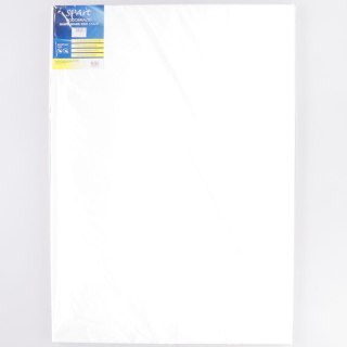 Podobrazie [mm:] 500x700 Pasja