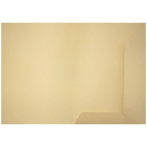 Teczka ofertowa grafitowa A4 kolor: grafitowy Bigo (1038)