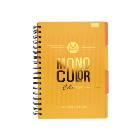 Kołozeszyt (kołonotatnik) B5 monokolor 96k. krata Beniamin (5337)