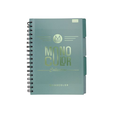 Kołozeszyt (kołonotatnik) B5 monokolor 96k. krata Beniamin (5337)