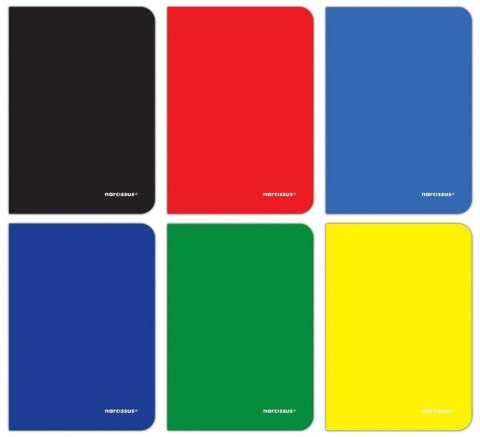 Zeszyt A5 PP 32k. 75g krata Narcissus