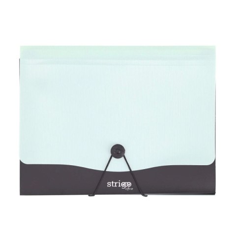 Teczka z przegródkami miętowa a4/13 A4 kolor: miętowy 13 przegródek Strigo (SF0061)