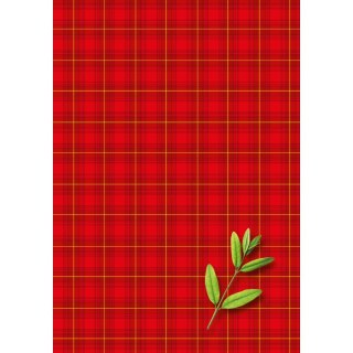 Brulion B5 200k. krata Kreska