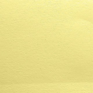 Papier ozdobny (wizytówkowy) A4 Gładki kremowy 100g Protos