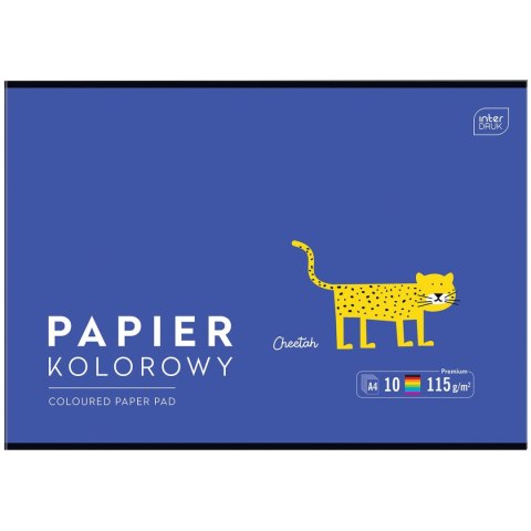 Zeszyt papierów kolorowych B&B KIDS A4/10 5902277328632 A4 115g 10k Interdruk (115g)