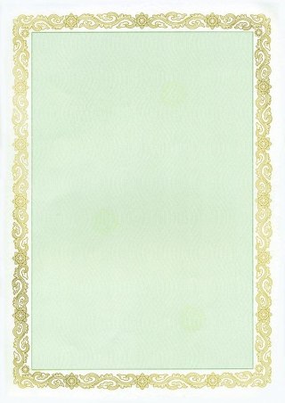 Dyplom A4 maori zielony 190g Galeria Papieru (210319)