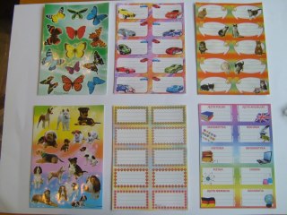 Naklejka (nalepka) Polsyr (D)