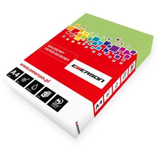 Papier kolorowy A4 kolorowy 4081 zielony jasny 500k. 80g Emerson (xem408081)