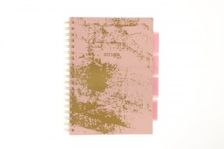 Kołozeszyt (kołonotatnik) B5 PROJECT BOOK RÓŻOWY 100k. 80g krata Strigo (PADS030)