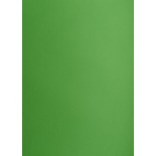 Brystol A1 zielony 160g 25k [mm:] 610x860 Creatinio (400149559)