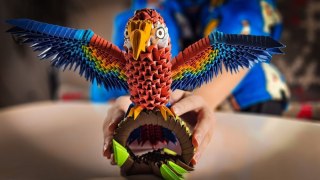 Origami Papuga/Parrot Alexander