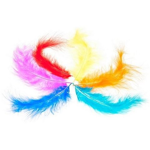 Piórka mix Craft with Fun (308968)