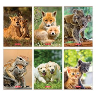 Zeszyt A5 Animals 9583071 32k. 70g linia Herlitz (400197969)