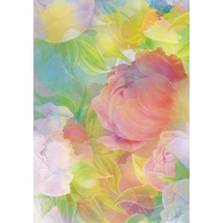 Brulion B5 twarda oprawa 300k. krata Kreska