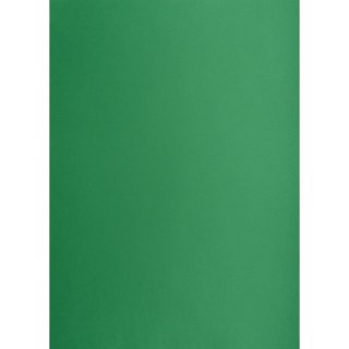 Brystol zielony ciemny B2 zielony 225g 25k Creatinio (400150339)