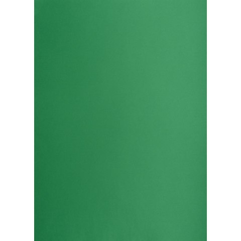 Brystol zielony ciemny B2 zielony 225g 25k Oxford (400150339)