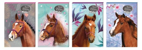 Notes (notatnik) A6 Nice&Pretty 30k. [mm:] 102x148 Beniamin (6094494)