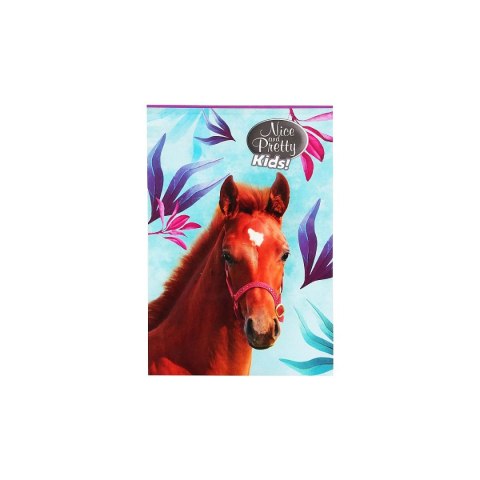Notes (notatnik) A6 Nice&Pretty 30k. [mm:] 102x148 Beniamin (6094494)