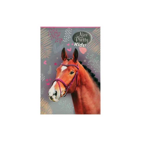 Notes (notatnik) A6 Nice&Pretty 30k. [mm:] 102x148 Beniamin (6094494)