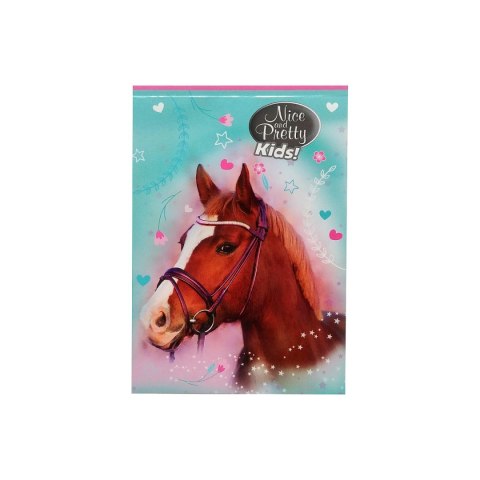 Notes (notatnik) A6 Nice&Pretty 30k. [mm:] 102x148 Beniamin (6094494)