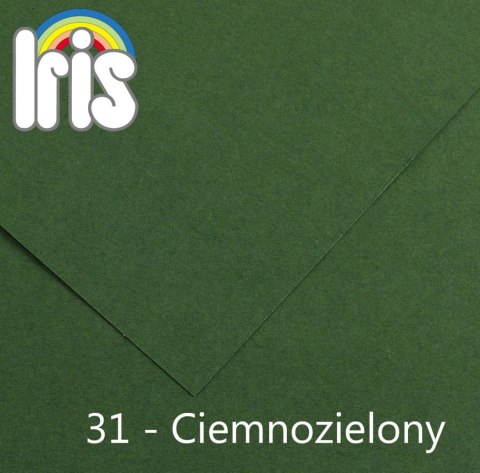 Brystol Iris 31 zielony ciemny 150g 25k [mm:] 500x650 Canson (200040470)
