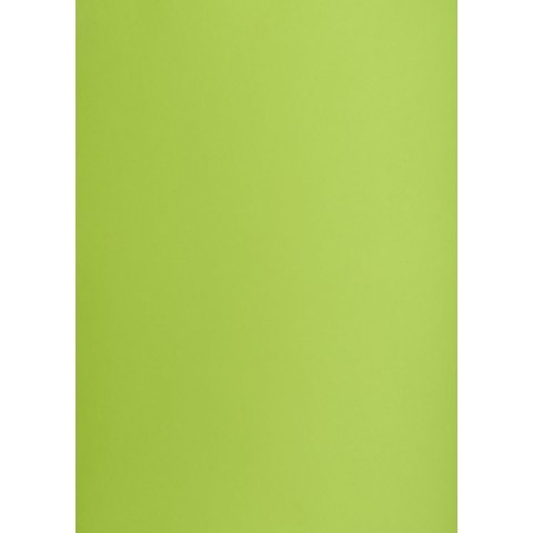 Brystol zielony jasny B2 zielony Creatinio (400150337)