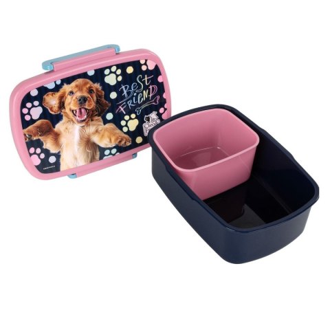 Śniadaniówka Derform (SACF44)