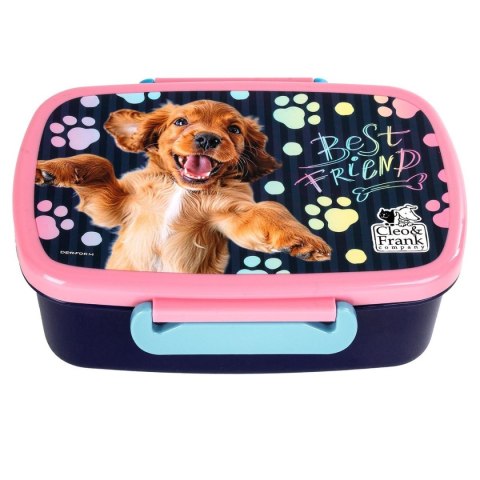 Śniadaniówka Derform (SACF44)