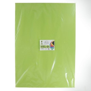 Brystol A1 czerwony 225g 10k Protos