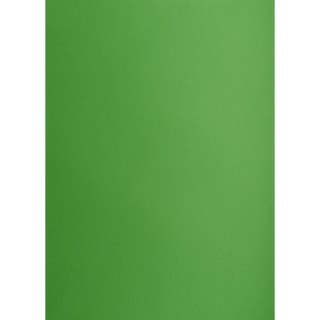 Brystol ZIELONY B2 Zielony 225g 25k Creatinio (400150338)