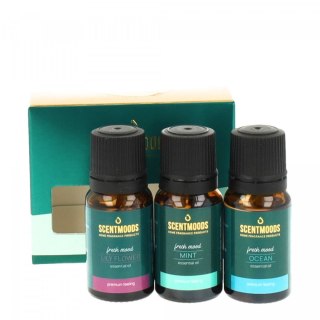 Świeczka ozdobna Zestaw olejków zapachowych Fresh Mood Pavoncella (8716516202525)