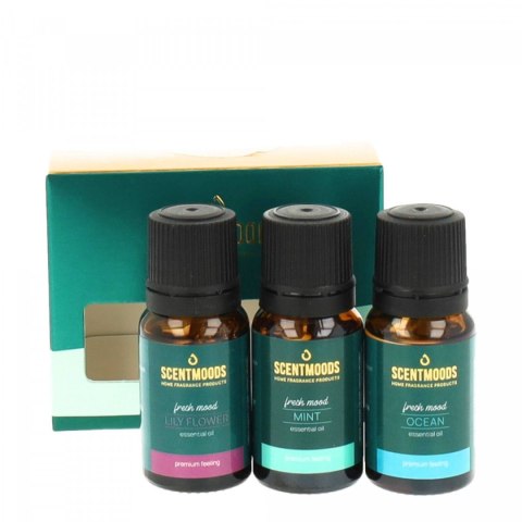 Świeczka ozdobna Zestaw olejków zapachowych Fresh Mood Pavoncella (8716516202525)