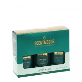 Świeczka ozdobna Zestaw olejków zapachowych Fresh Mood Pavoncella (8716516202525)