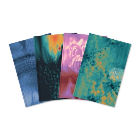 Kalendarz książkowy (terminarz) WTV HARMONY 100mm x 150mm Oxford (400204135)