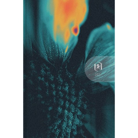 Kalendarz książkowy (terminarz) WTV HARMONY 100mm x 150mm Oxford (400204135)