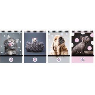 Kołozeszyt (kołonotatnik) A6 The SWEET PETS 96k. krata (nd) (6136)