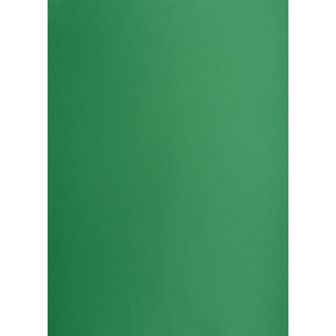 Brystol A3 ciemnozielony 160g 25k [mm:] 297x420 TOP-2000 (400150243)