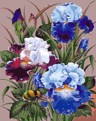 Zestaw kreatywny Malowanie po numerach 40x50cm Irysy Flamingo Line (FYS174)