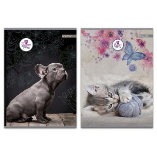 Zeszyt A4 The Sweet Pets 60k. 70g [mm:] 206x294 Beniamin (608633)