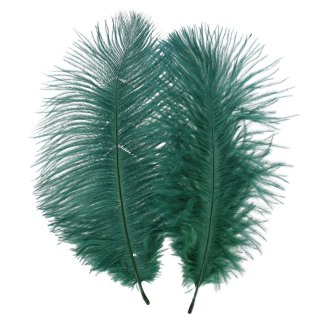 Piórka zielony ciemny Craft With Fun (545787)