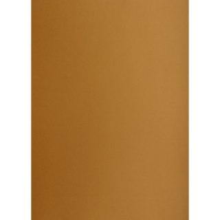 Brystol brązowy B1 brązowy 225g 1k Creatinio (400150259)