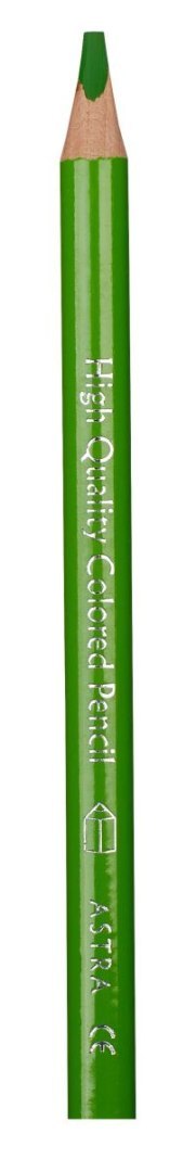 Kredki ołówkowe 1 kol. Astra