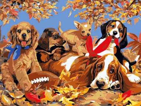 Zestaw kreatywny Malowanie po numerach 30x40cm Psy Flamingo Line (FSY166)