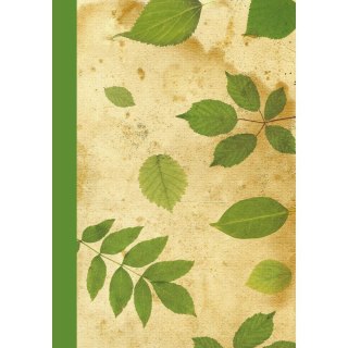 Brulion A4 200k. krata Kreska