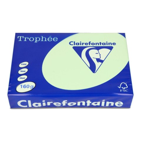 Papier kolorowy A4 kolorowy zielony 160g Trophee (xca42635)