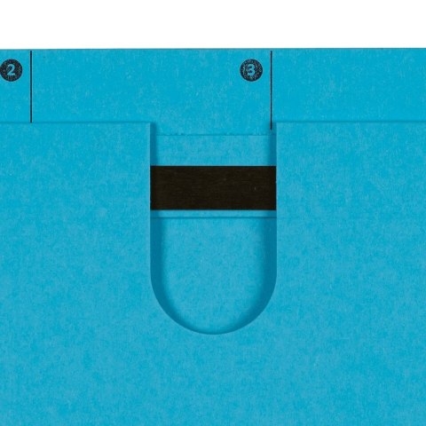 Skoroszyt A4 Chic Ultimate wiszący niebieski karton 230g Elba (100552091)